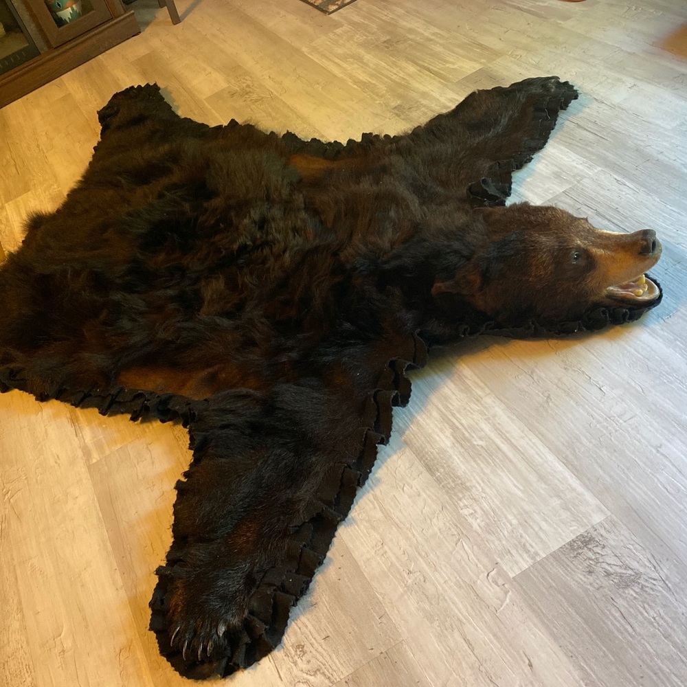 Bear Rug